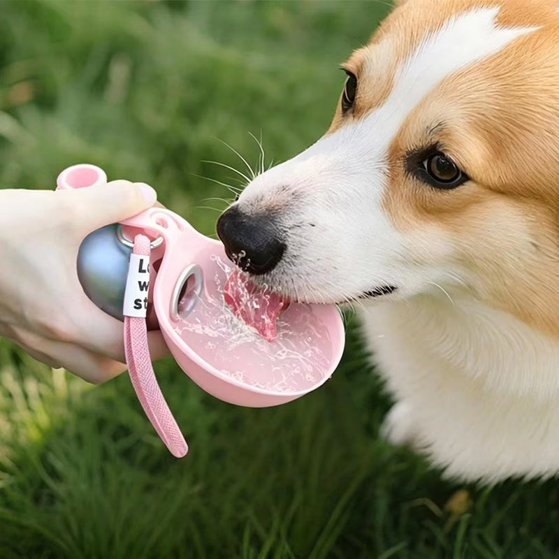 2-in-1 Portable Dog Water Bottle Stainless Steel – image 10
