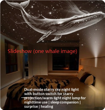 Bedroom Bedside Night Light – image 18
