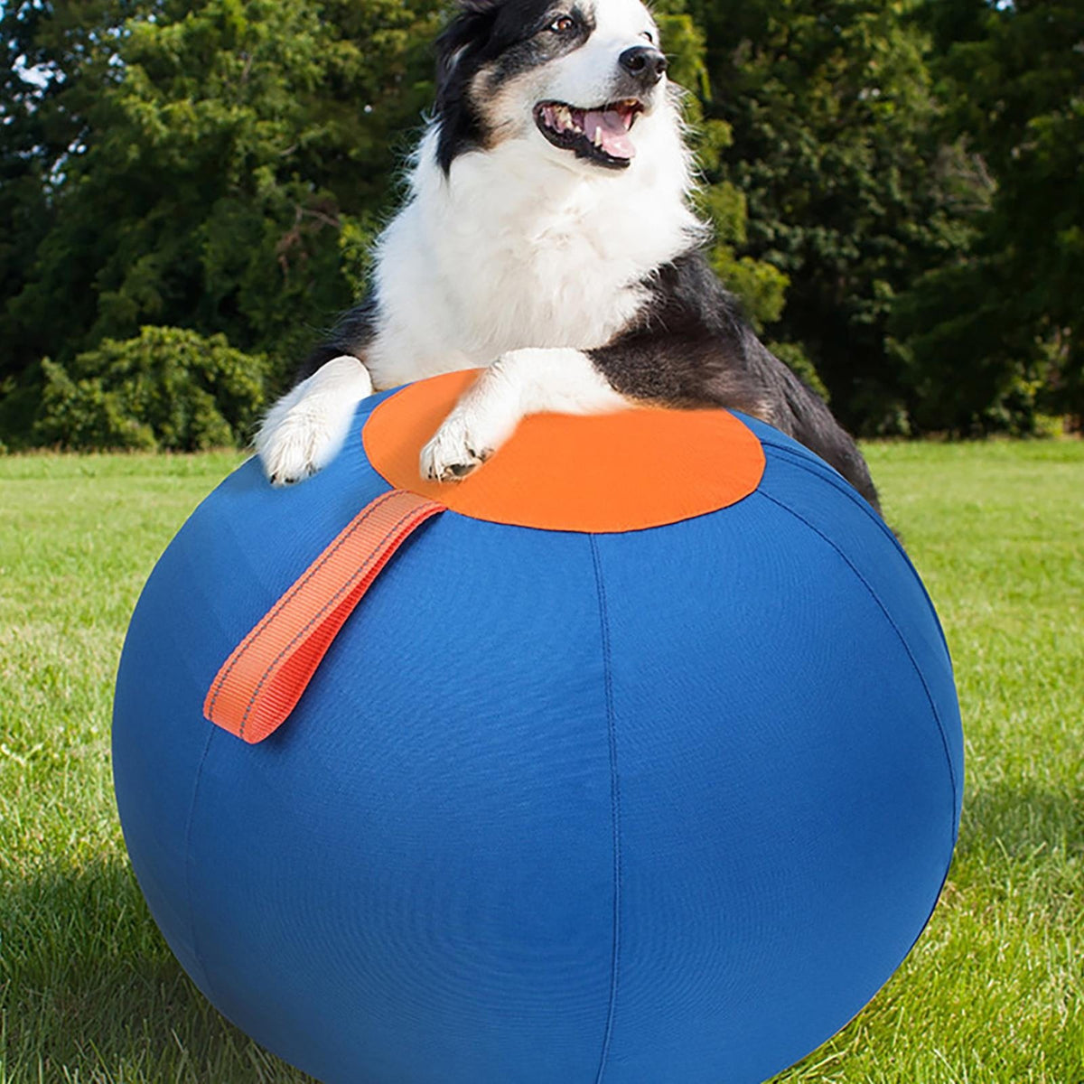 45cm Large Wear Resistant Inflatable Herding Grazing – image 7