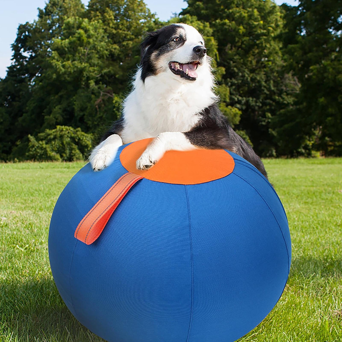 45cm Large Wear Resistant Inflatable Herding Grazing – image 2