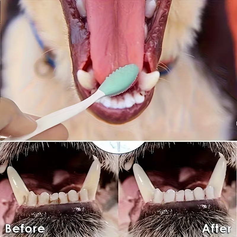 Pet Toothbrush Set – 2 Pack, Silicone Bristles, Long Handle
