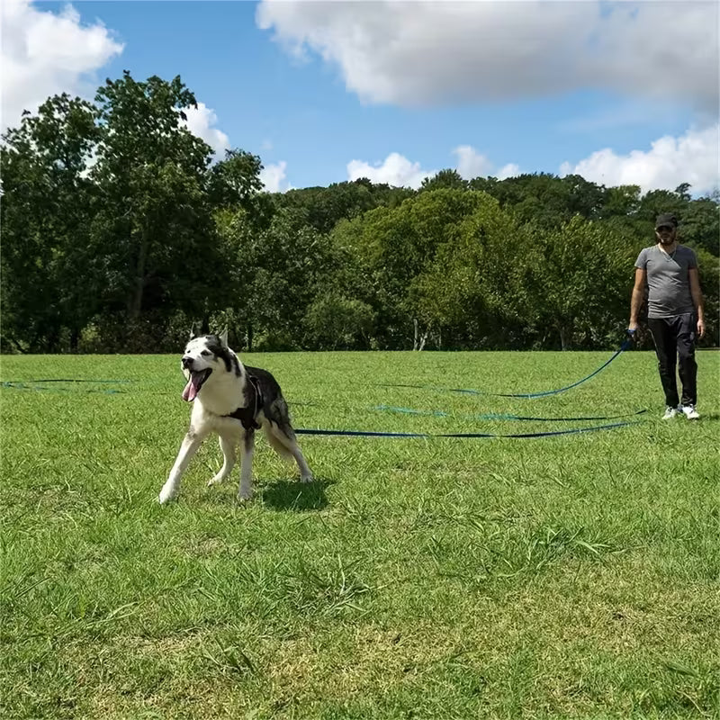 Long Dog Training Lead – Adjustable 3–9 m Walking Leash