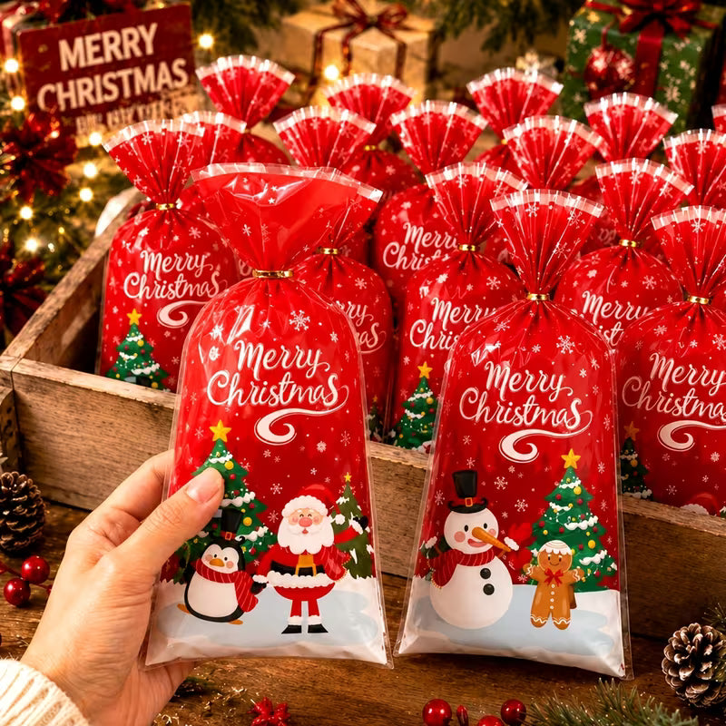Red Christmas Gift Bags – Pack of 5, Assorted Designs