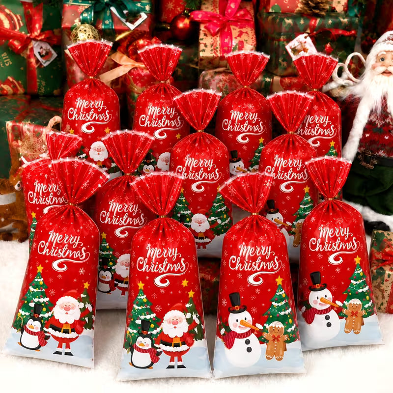 Red Christmas Gift Bags – Pack of 5, Assorted Designs