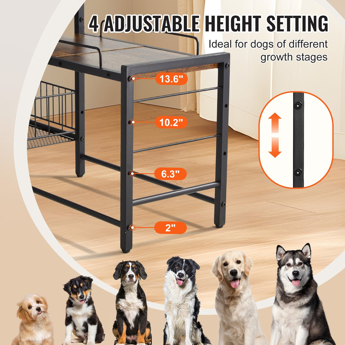 Elevated Dog Feeding Station with Storage – image 3