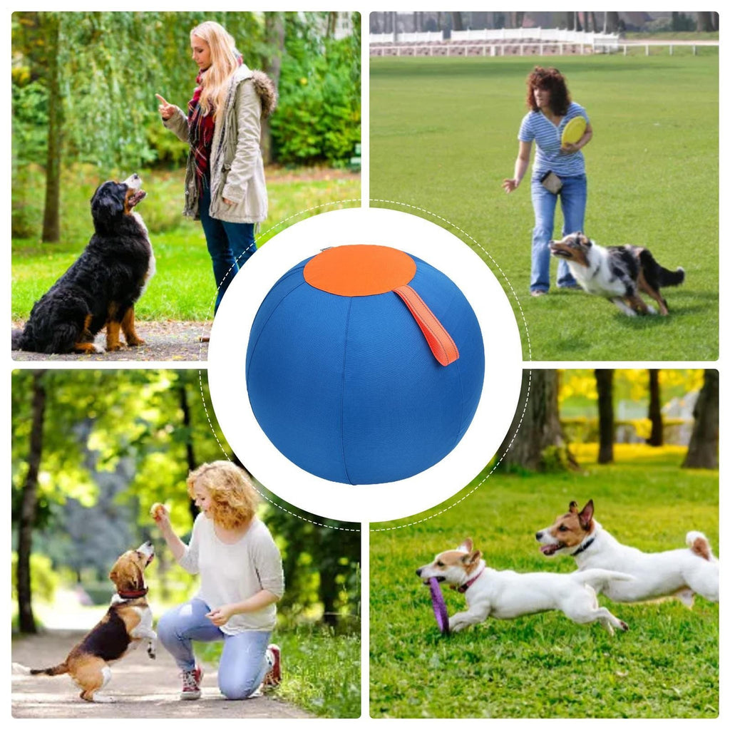 45cm Large Wear Resistant Inflatable Herding Grazing – image 9