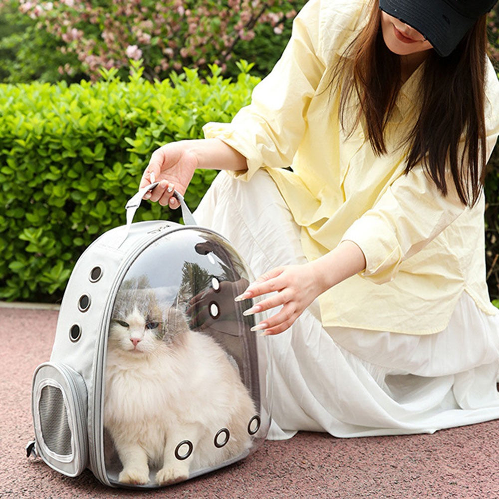 Transparent Cat Carrier Backpack, 9 Air Vents – image 3