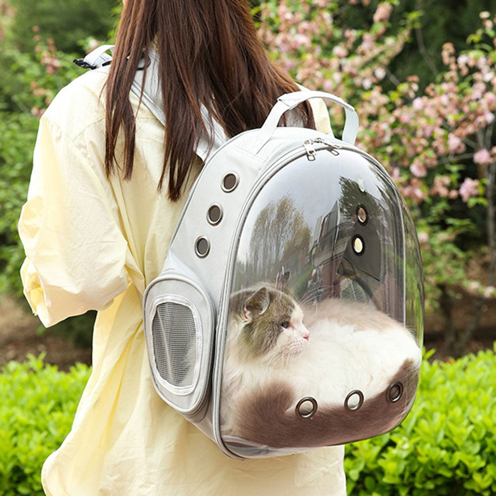 Transparent Cat Carrier Backpack, 9 Air Vents – image 4
