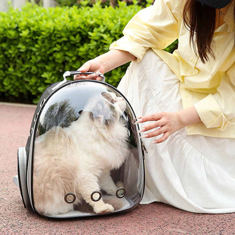Transparent Cat Carrier Backpack, 9 Air Vents – image 5