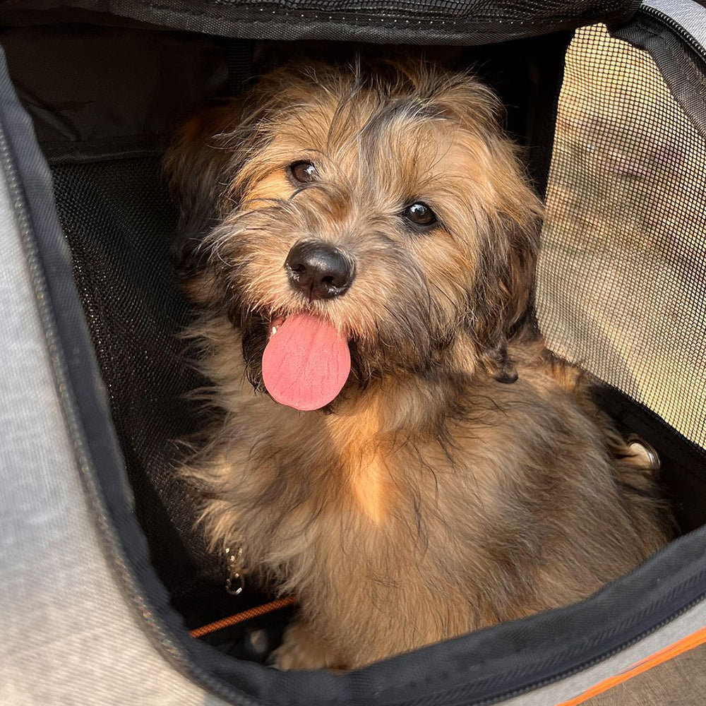 FULED Expandable Pet Carrier Backpack – image 8