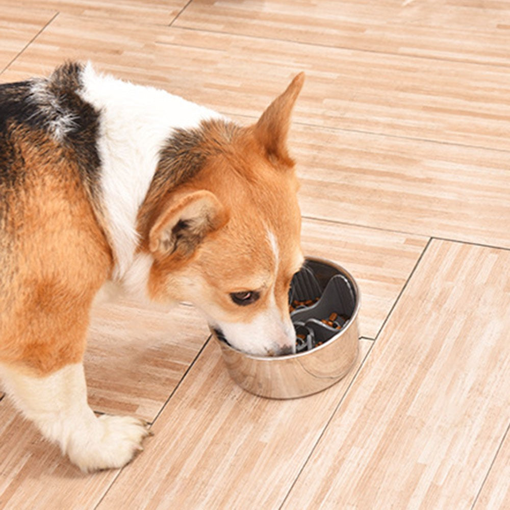 Windmill Slow Feeder Dog Bowl, Anti-Gulp – image 6
