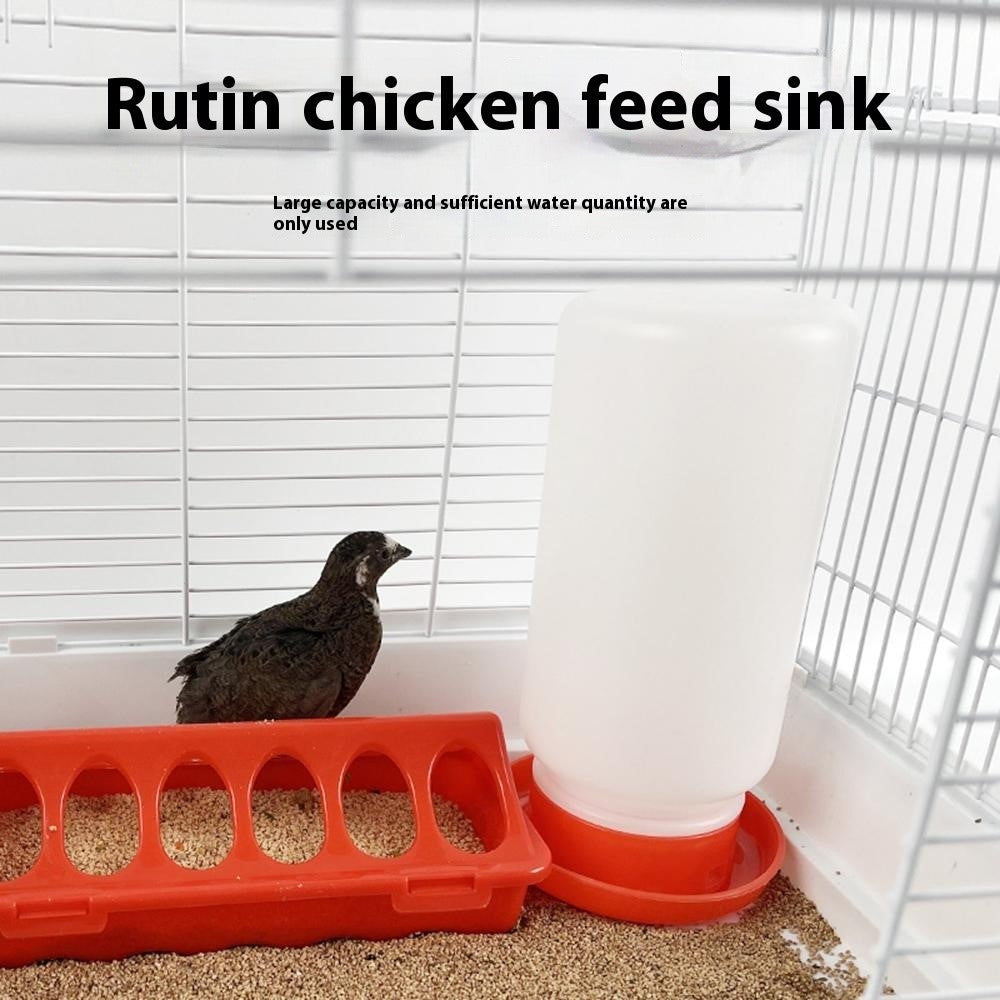 Flip-Top Poultry Feeder Tray, 12 Holes – image 3