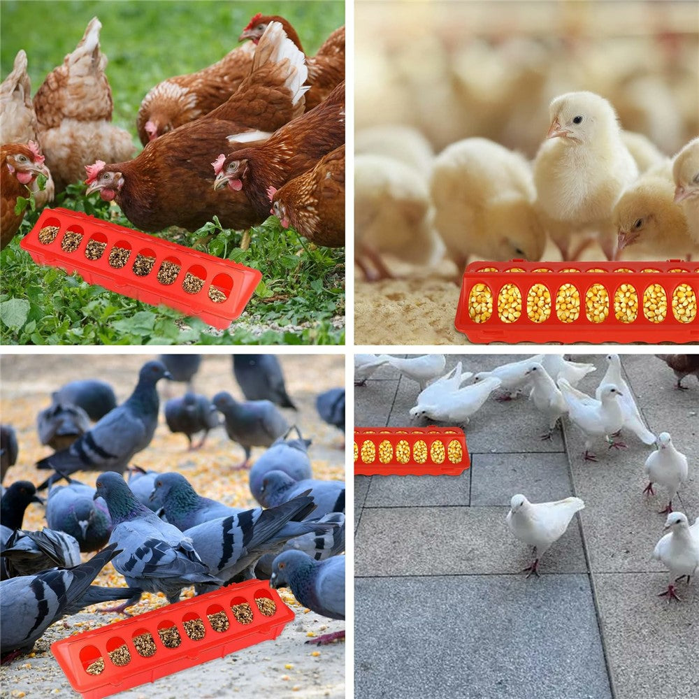 Flip-Top Poultry Feeder Tray, 18 Holes – image 6