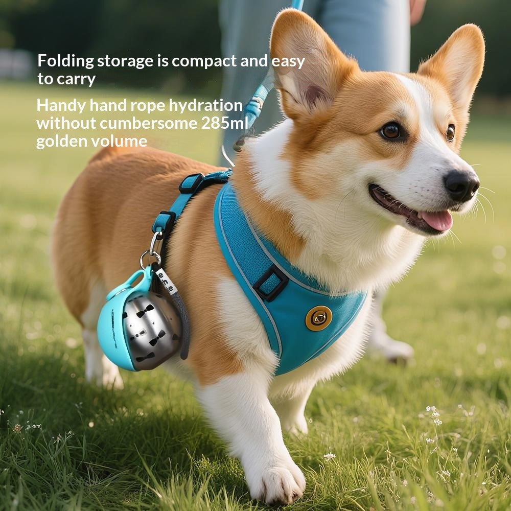 Foldable Pet Water Bottle, 300ml BPA-Free – image 3