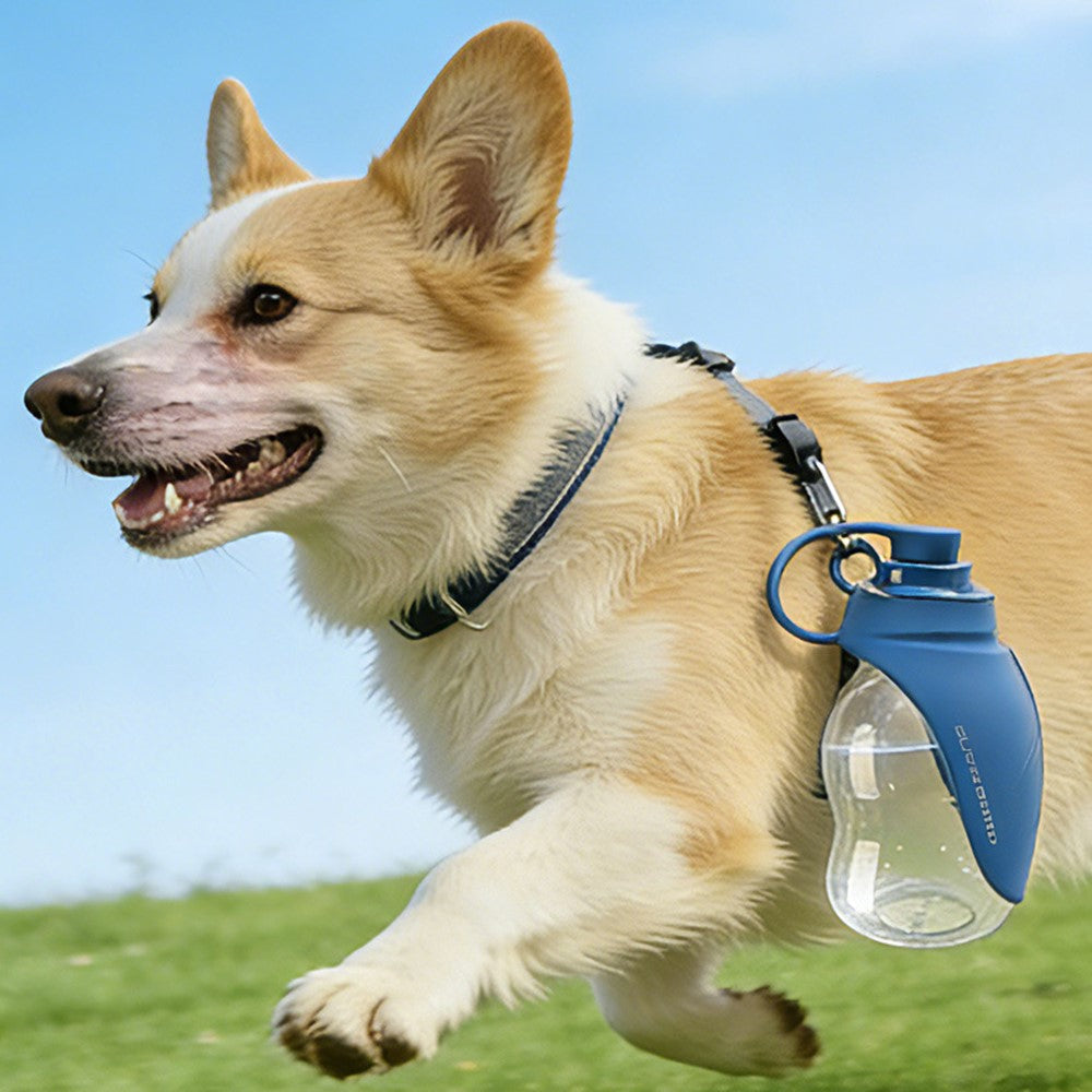 Foldable Pet Water Bottle, 300ml BPA-Free – image 5