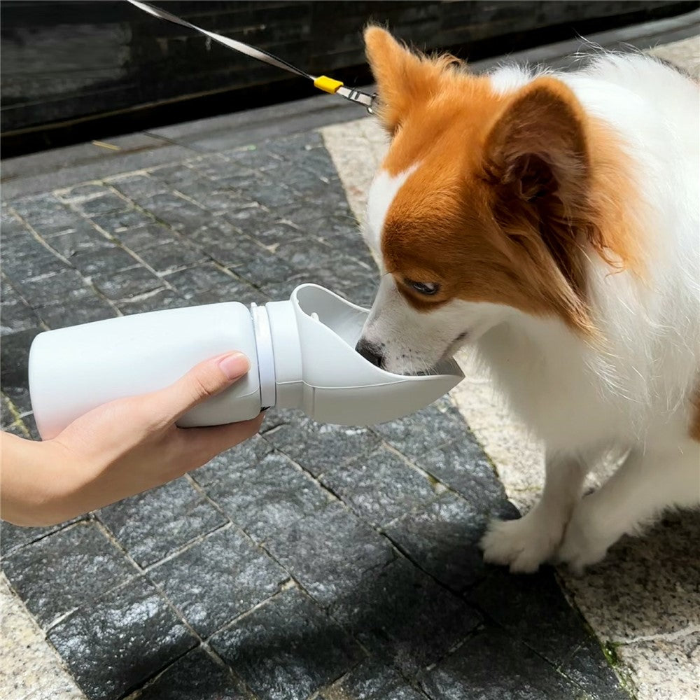 PET02 Foldable Dog Water Bottle, 550ml – image 9