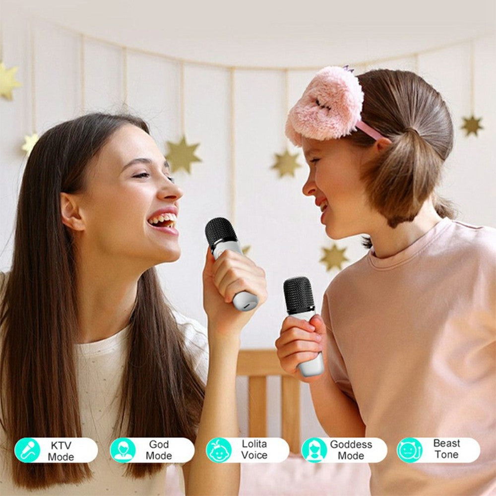 Y15 Outdoor Karaoke Speaker – image 7