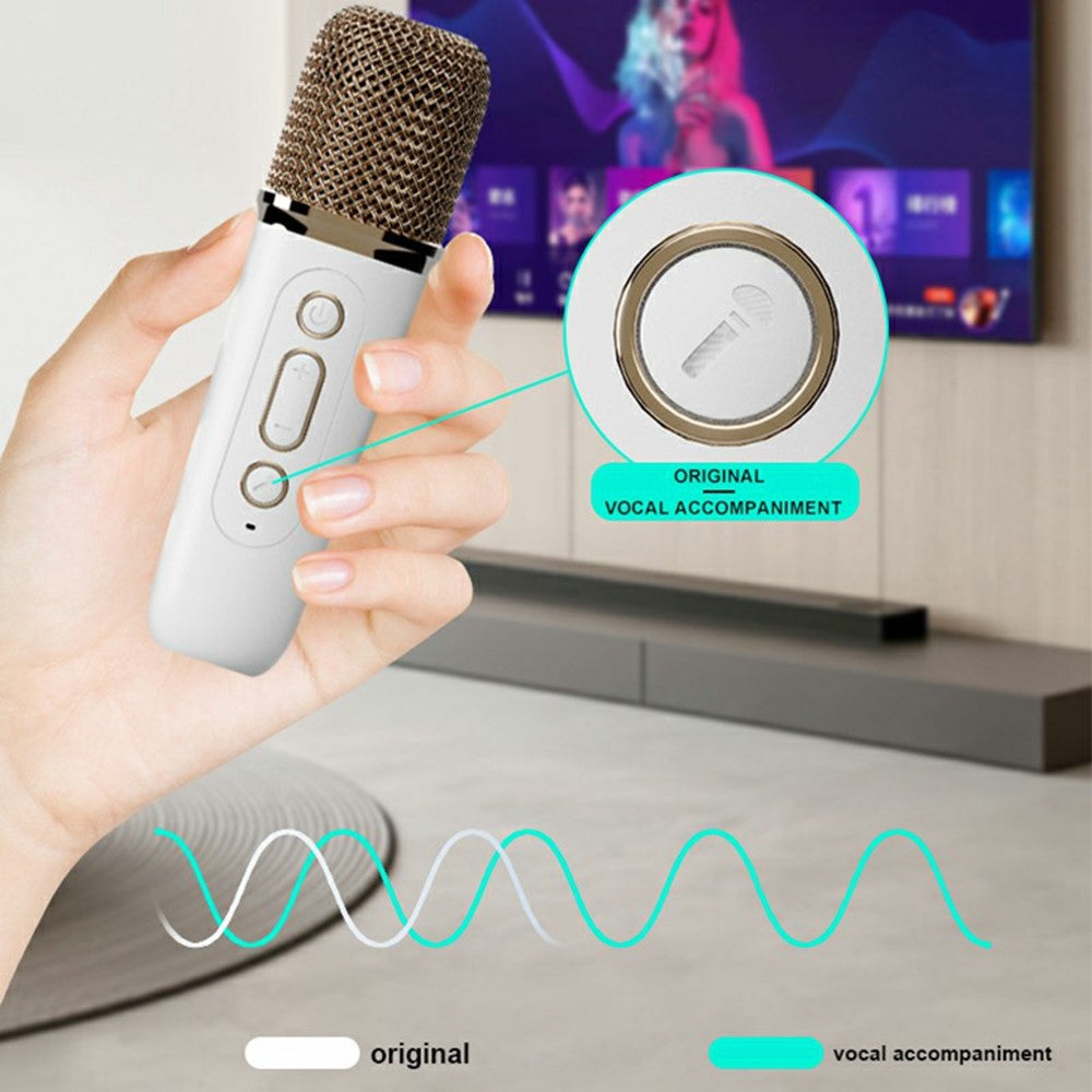 Y15 Outdoor Karaoke Speaker – image 8