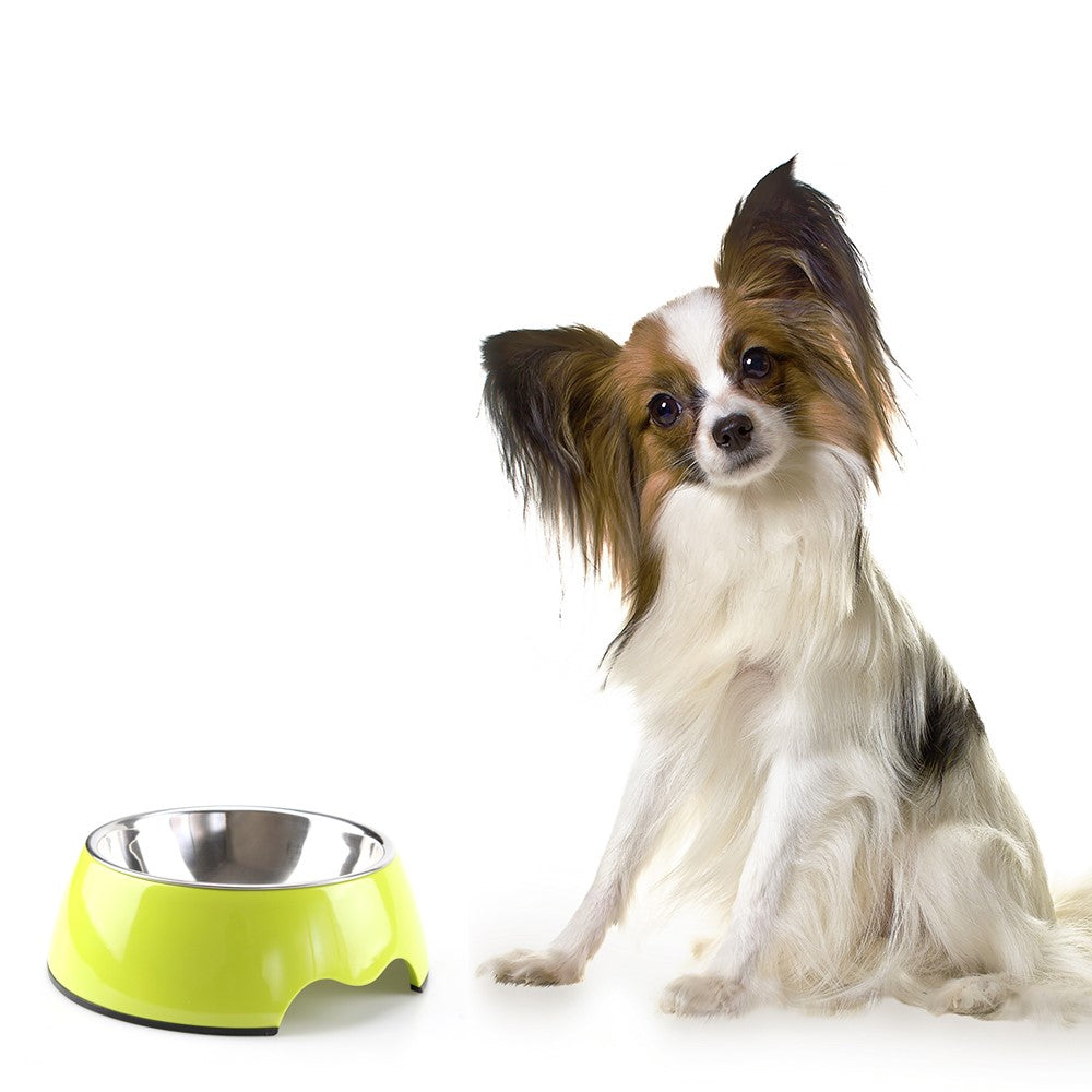 Heavy-Duty Non-Slip Melamine Pet Bowl – image 2