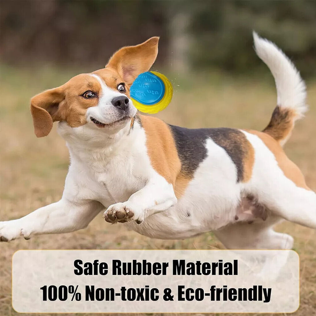 Squeaky Dog Balls for Teeth Cleaning – image 6
