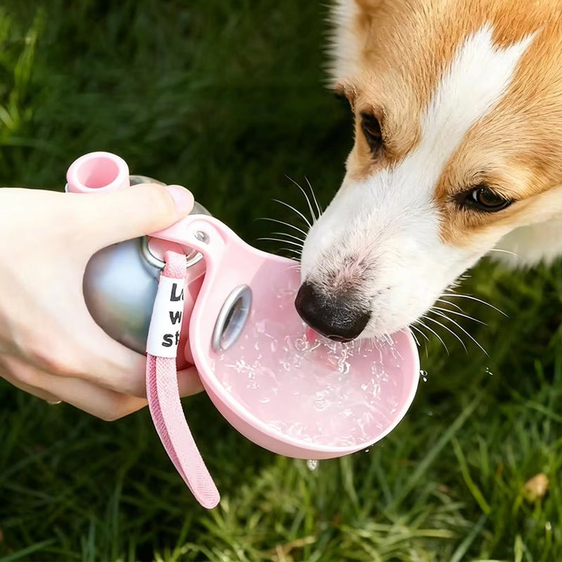 2-in-1 Portable Dog Water Bottle Stainless Steel – image 7