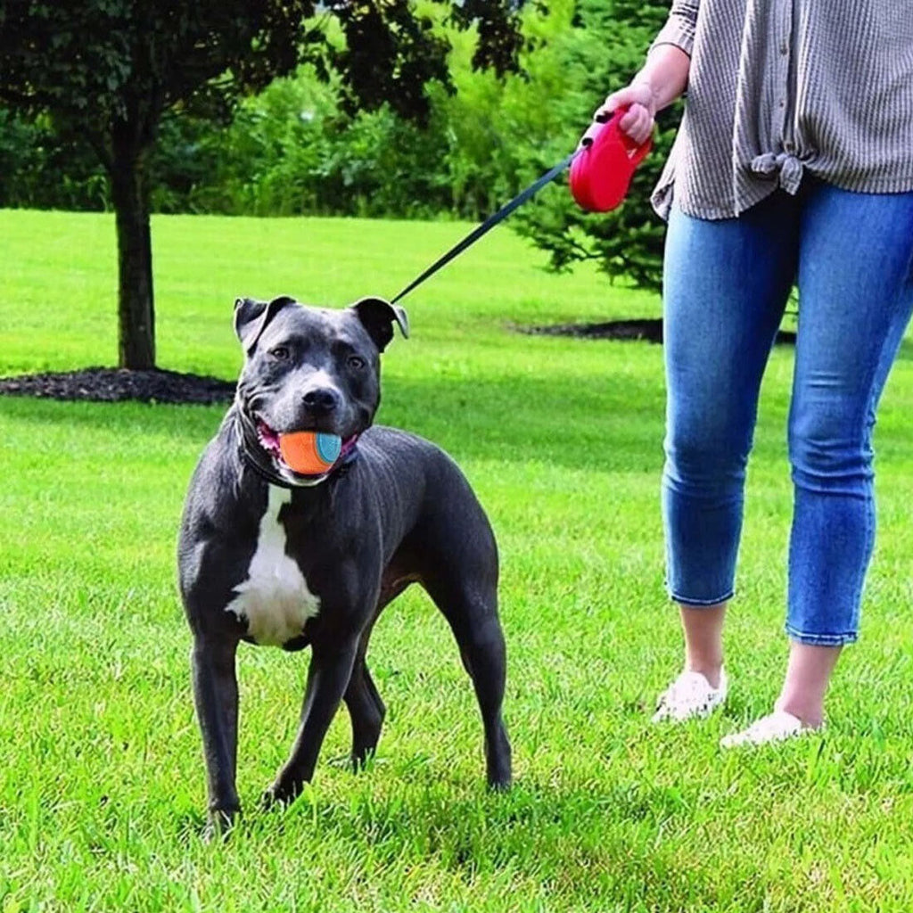 Squeaky Dog Balls for Teeth Cleaning – image 8